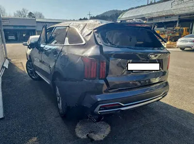 2021 Kia Sorento KNARL81BGMA008213 VIN:KNARL81BGMA008213