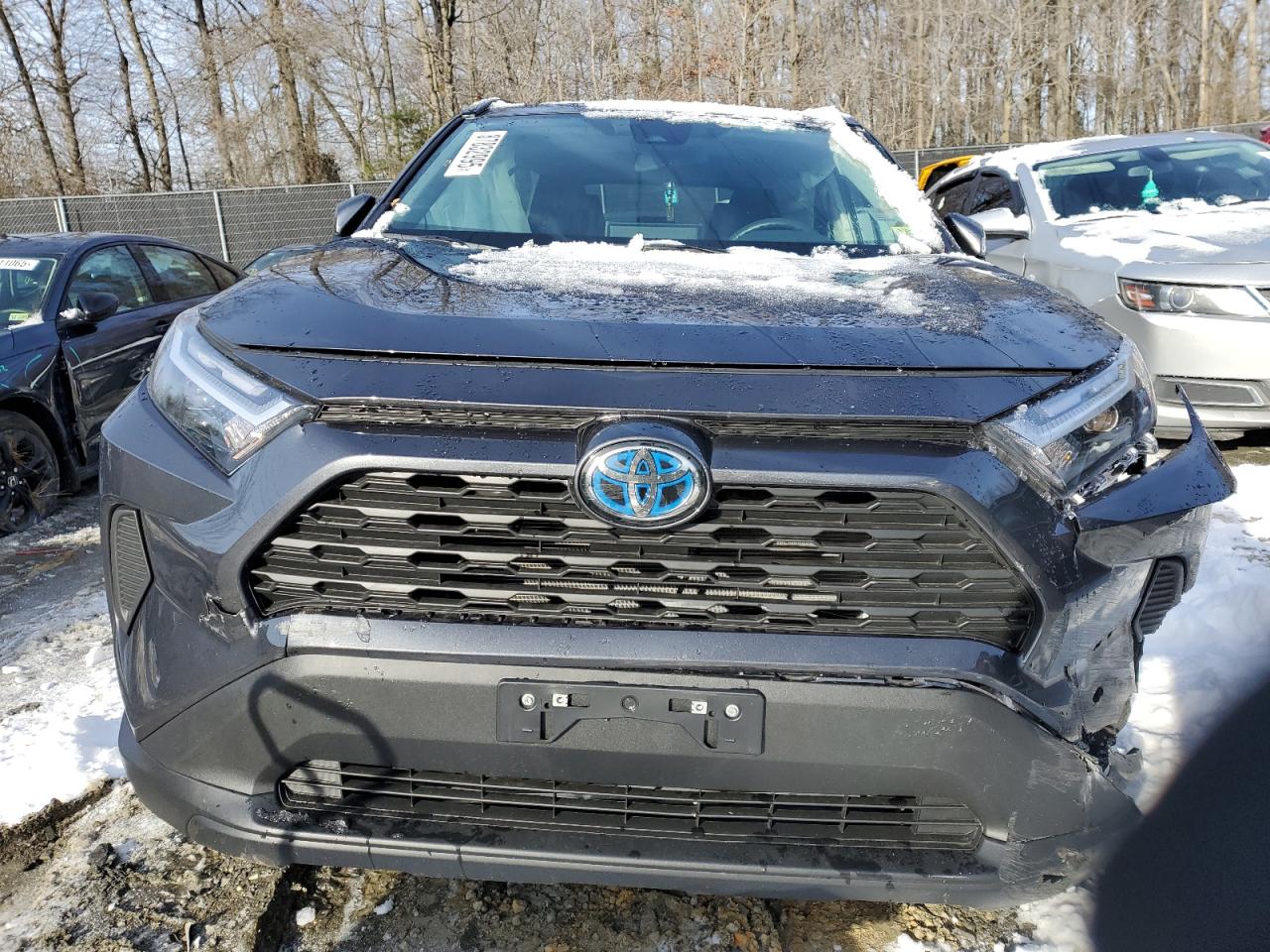 2024 TOYOTA RAV4 XLE VIN:2T3RWRFV2RW239863