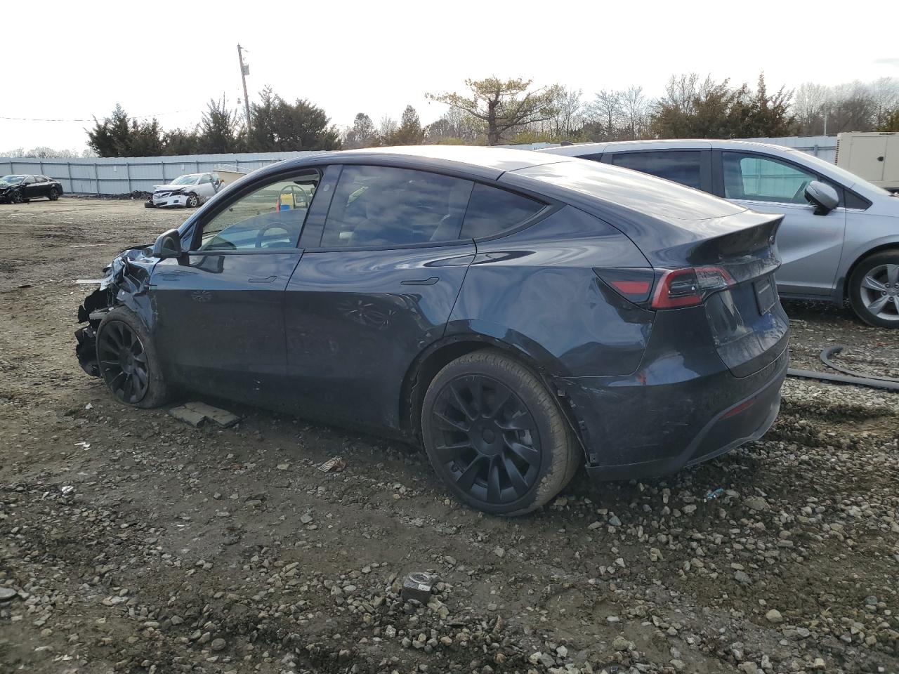 2024 TESLA MODEL Y  VIN:7SAYGAEEXRF990438