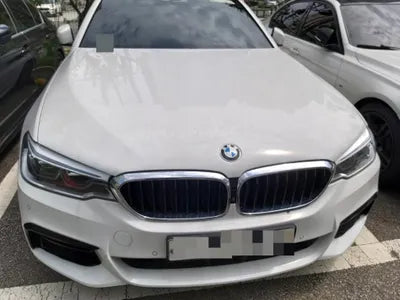 2019 BMW 530 WBAJD310XKB318141 VIN:WBAJD310XKB318141