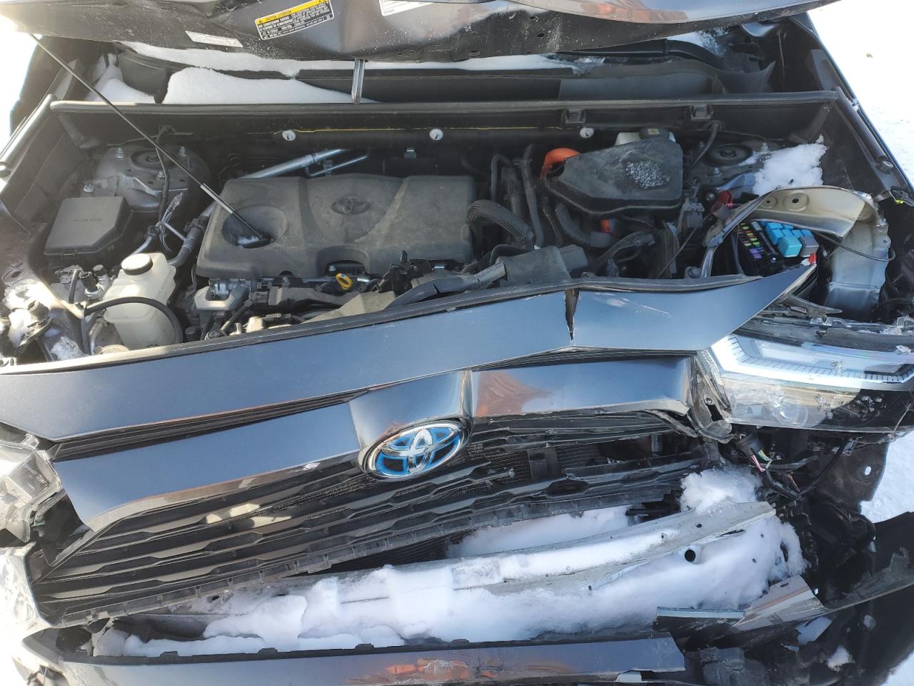 2023 TOYOTA RAV4 XLE PREMIUM VIN:JTMB6RFV8PD082318