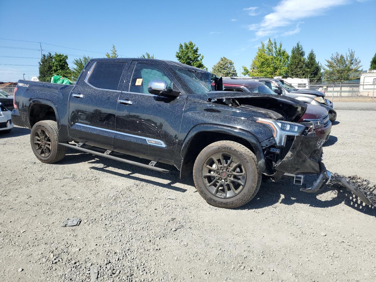 2023 TOYOTA TUNDRA CREWMAX PLATINUM VIN:5TFMA5DBXPX110188