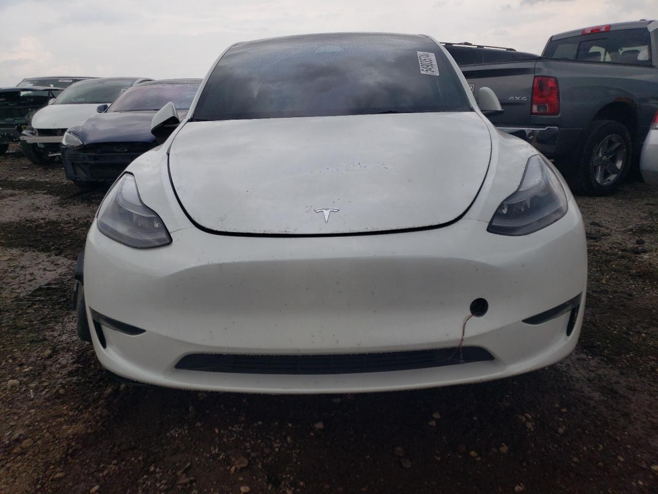 2023 TESLA MODEL Y  VIN:7SAYGDEF9PF702335