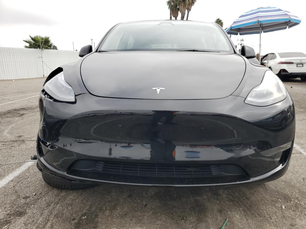 2024 TESLA MODEL Y  VIN:7SAYGDEF0RF057092
