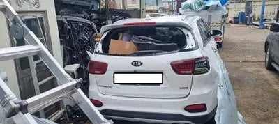 2019 Kia Sorento KNAPS811BKA488810 VIN:KNAPS811BKA488810