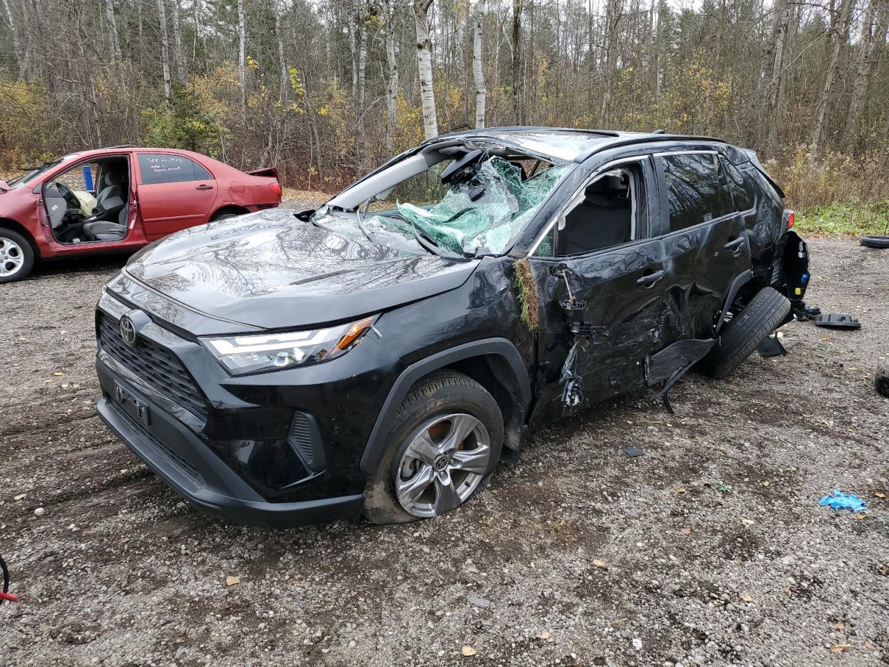 2023 TOYOTA RAV4 XLE VIN:2T3R1RFVXPC351842