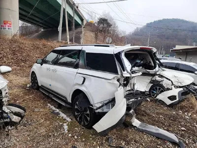 2022 Kia Carnival KNANE81BBNS170565 VIN:KNANE81BBNS170565
