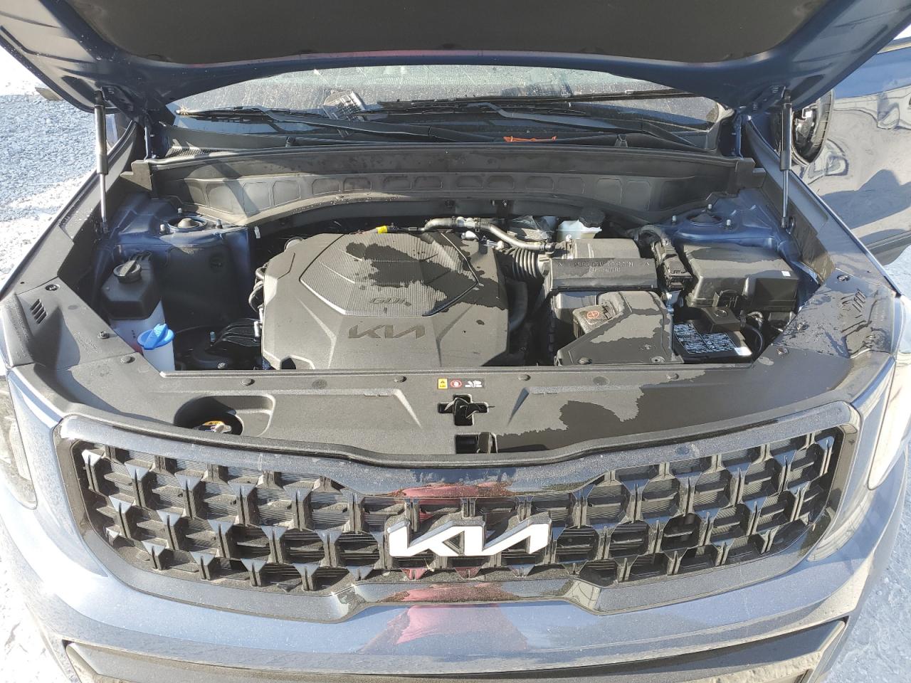 2024 KIA TELLURIDE EX VIN:5XYP3DGC2RG527526