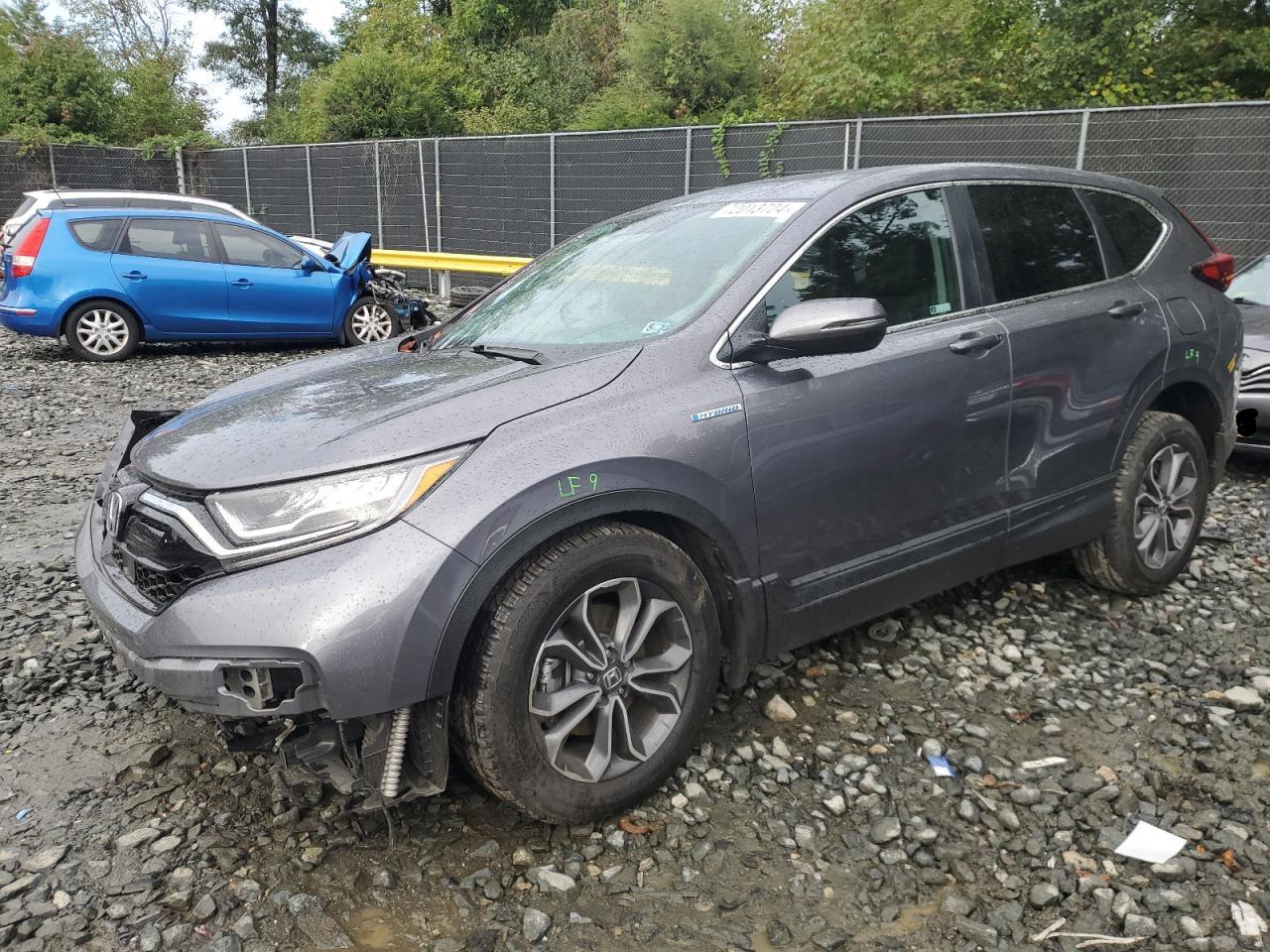 2022 HONDA CR-V EXL VIN:5J6RT6H88NL036644