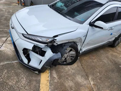 2019 Hyundai Kona KMHK381GFKU028863 VIN:KMHK381GFKU028863