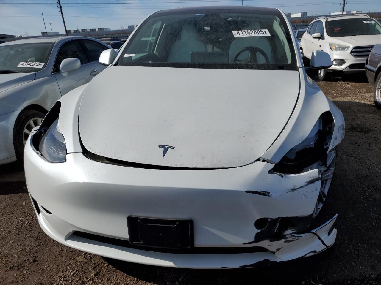 2024 TESLA MODEL Y  VIN:7SAYGDEE6RF046671