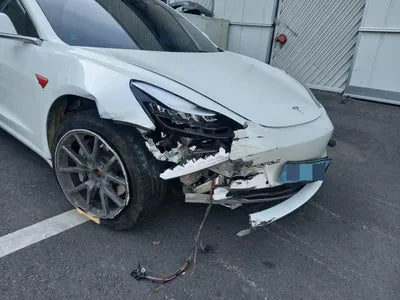 2019 Tesla Model 3 5YJ3E1EB7LF585194 VIN:5YJ3E1EB7LF585194