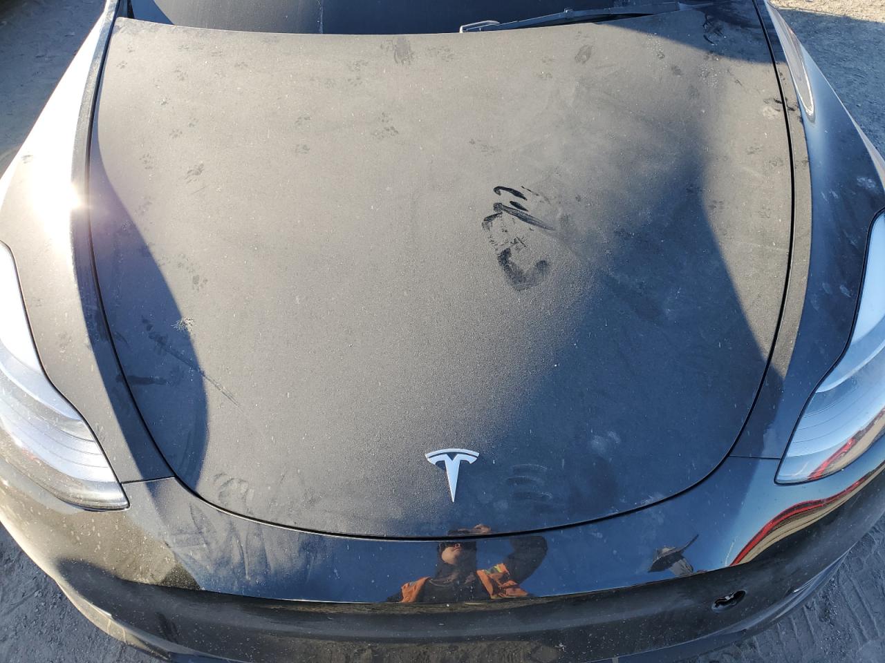 2023 TESLA MODEL Y  VIN:7SAYGDEE7PF835022