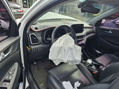 2019 Hyundai Tucson KMHJ581ADKU058096 VIN:KMHJ581ADKU058096