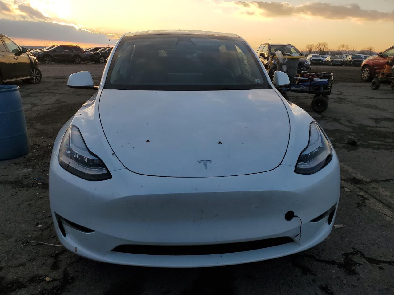 2023 TESLA MODEL Y  VIN:7SAYGDEE0PA056087