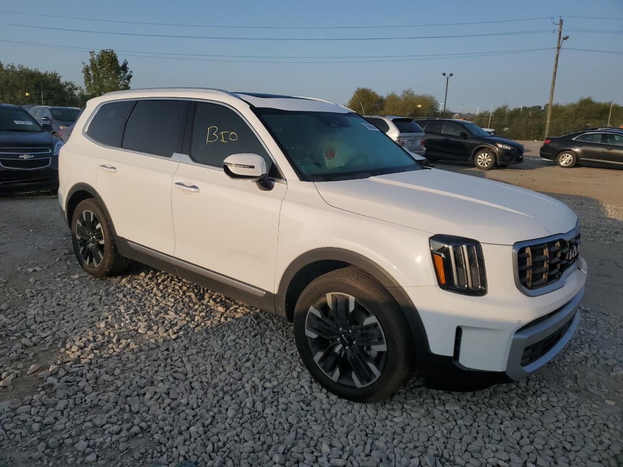 2024 KIA TELLURIDE SX VIN:5XYP5DGC4RG507868