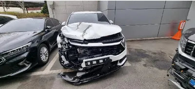2022 Kia Sportage KNAPX81GBNK007922 VIN:KNAPX81GBNK007922