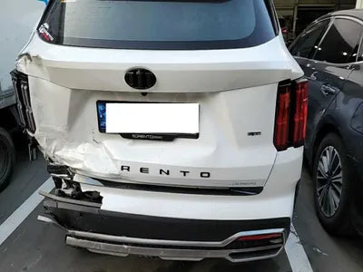 2021 Kia Sorento KNARF81BHMA039262 VIN:KNARF81BHMA039262