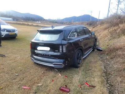 2022 Kia Sorento KNARM81GBNA119224 VIN:KNARM81GBNA119224