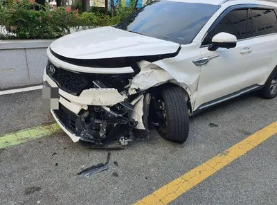 2020 Kia Sorento KNAPS811DLA616574 VIN:KNAPS811DLA616574