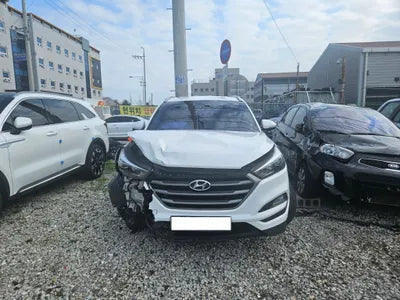 2016 Hyundai Tucson KMHJ3815GGU008295 VIN:KMHJ3815GGU008295