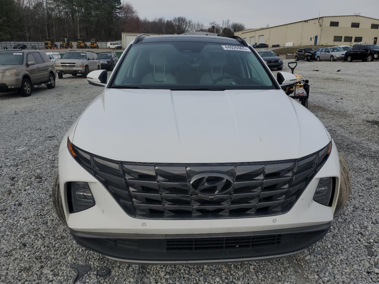 2024 HYUNDAI TUCSON LIMITED VIN:5NMJECDE1RH412096