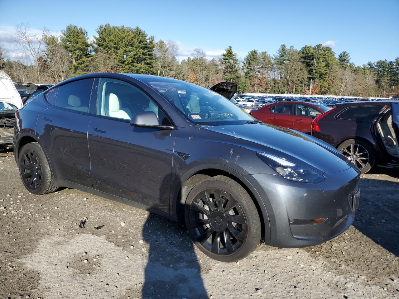 2023 TESLA MODEL Y  VIN:7SAYGDEE6PF884129