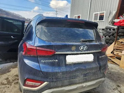 2019 Hyundai Santa FE KMHS381CDKU076065 VIN:KMHS381CDKU076065