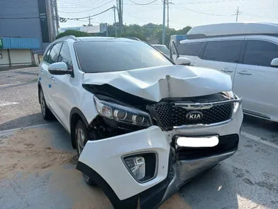 2016 Kia Sorento KNAPH81ABGA195058 VIN:KNAPH81ABGA195058