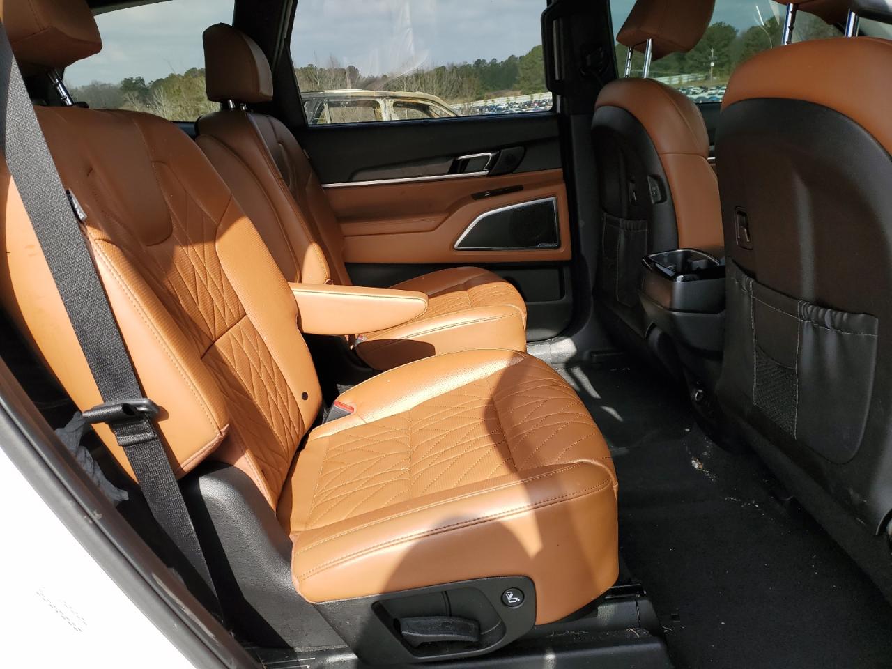 2024 KIA TELLURIDE SX VIN:5XYP5DGC7RG420949