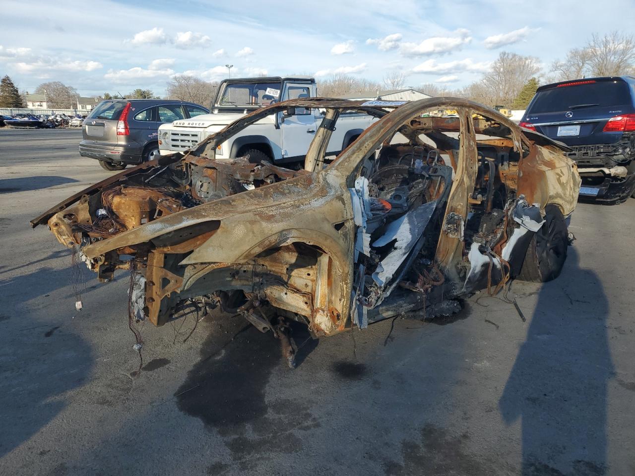 2024 TESLA MODEL Y  VIN:7SAYGDEDXRF111335