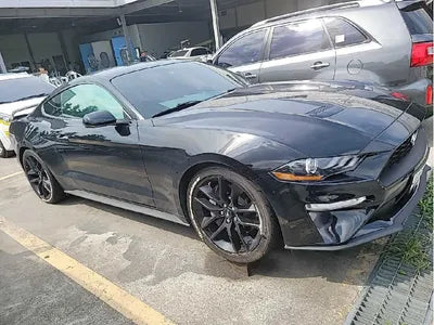 2019 Ford Mustang 571KM1FA6P8TH5K51 VIN:571KM1FA6P8TH5K51
