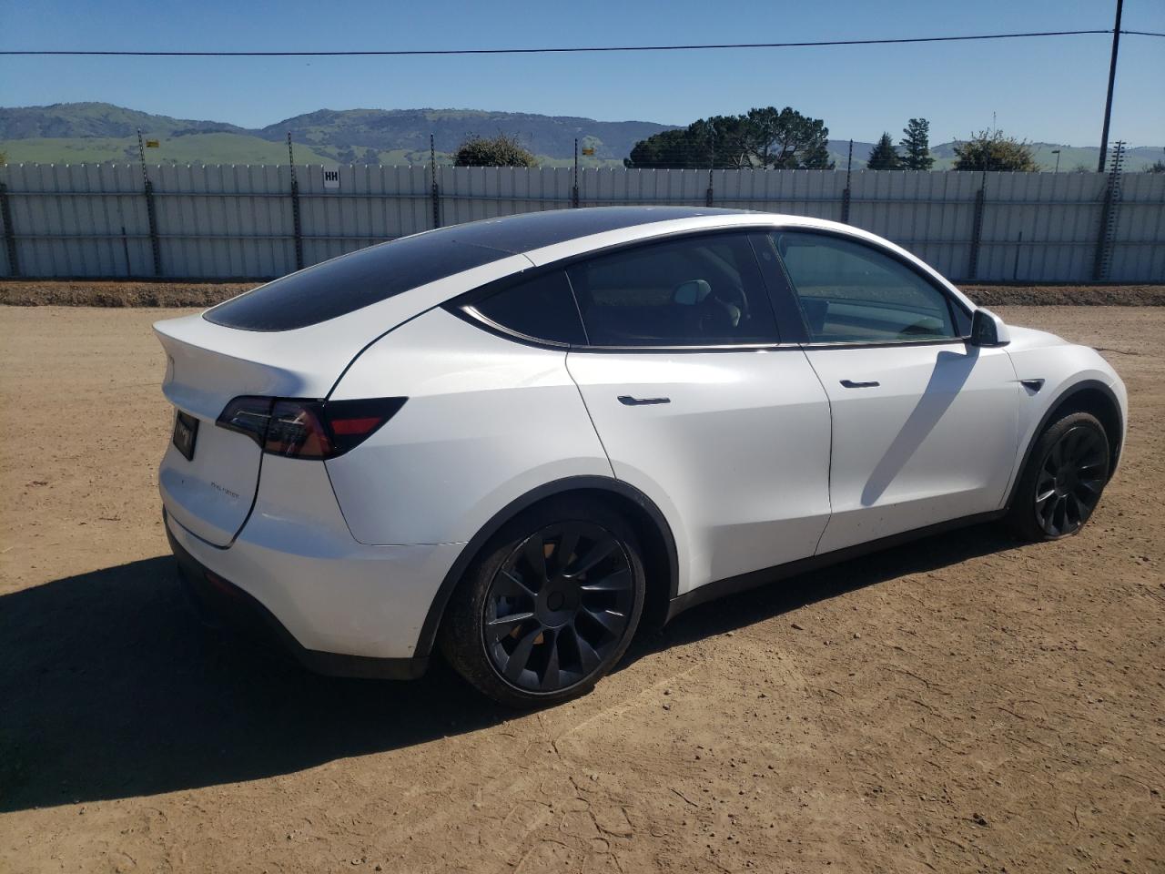 2023 TESLA MODEL Y  VIN:7SAYGDEEXPF675010