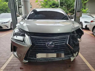 2018 Lexus NX 300 VIN: