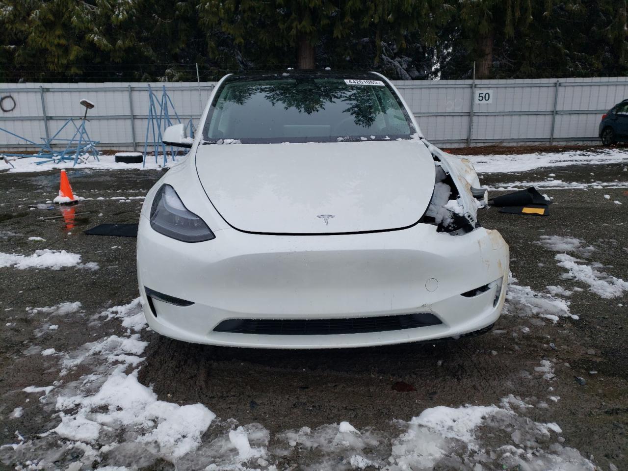 2024 TESLA MODEL Y  VIN:7SAYGDED6RF153761