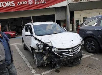 2018 Hyundai Santa FE KMHSW81UBJU793209 VIN:KMHSW81UBJU793209