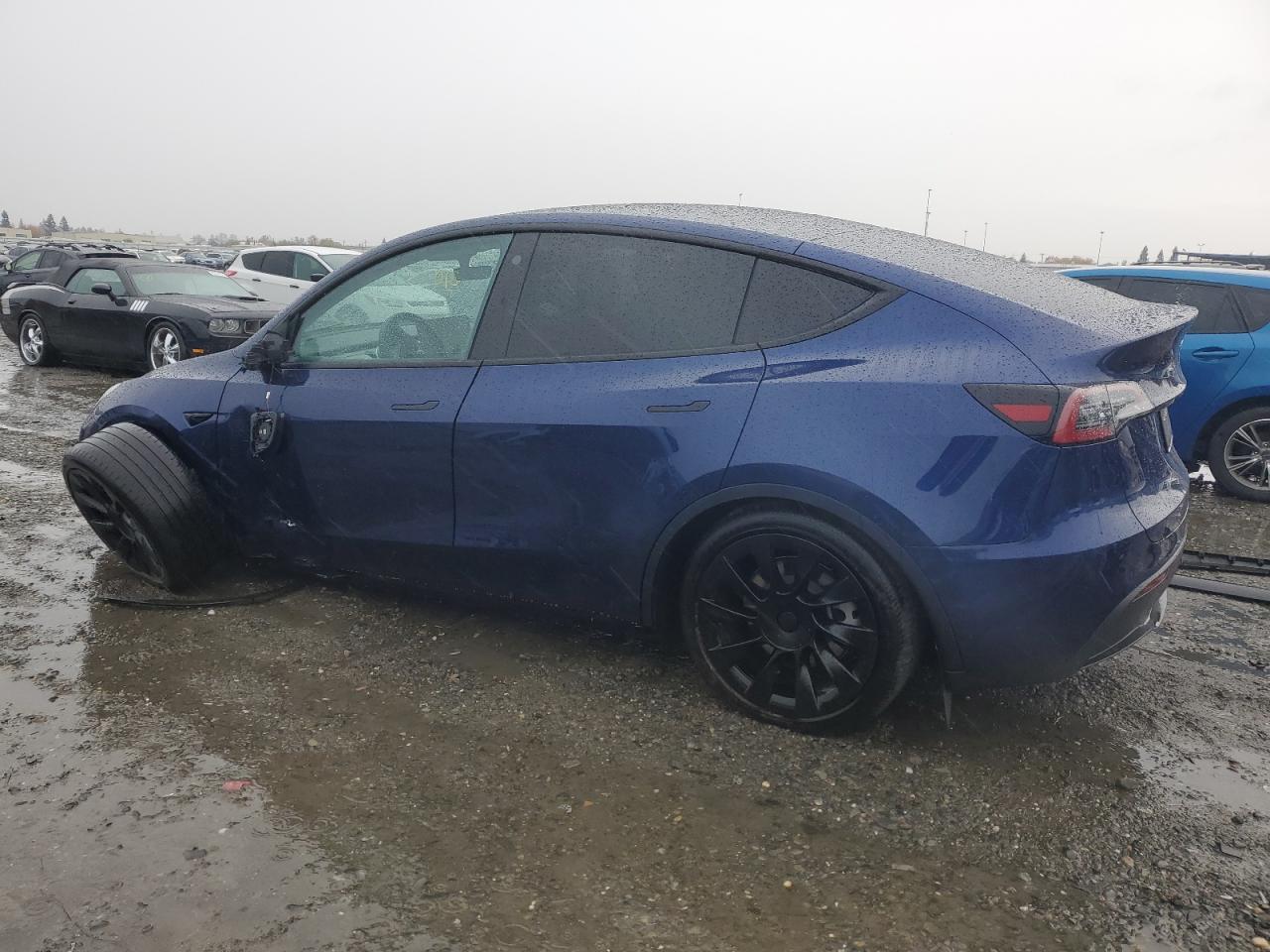 2023 TESLA MODEL Y  VIN:7SAYGDEE8PA117864