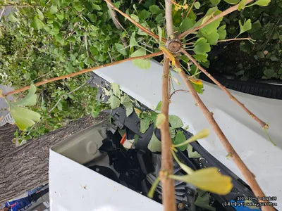 2018 BMW 520 354KMWBAJC3102JDB VIN:354KMWBAJC3102JDB