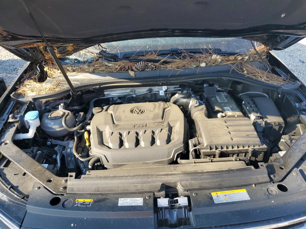 2023 VOLKSWAGEN TIGUAN SE VIN:3VV3B7AX1PM133936