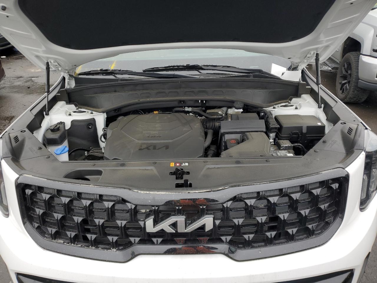 2024 KIA TELLURIDE EX VIN:5XYP3DGC8RG500198