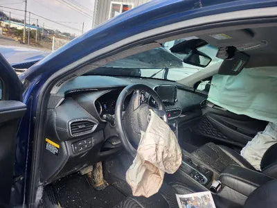 2019 Hyundai Santa FE KMHS381CDKU076065 VIN:KMHS381CDKU076065