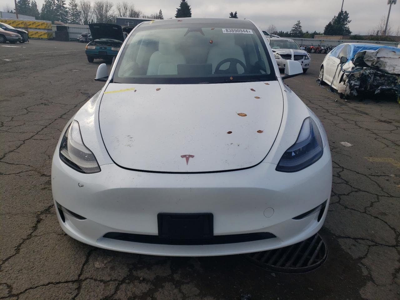 2024 TESLA MODEL Y  VIN:7SAYGAEE7RF077443