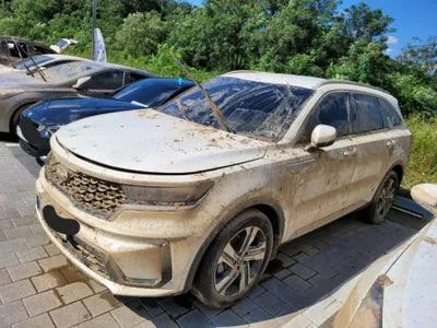 2021 Kia Sorento KNARK81GBMA041859 VIN:KNARK81GBMA041859