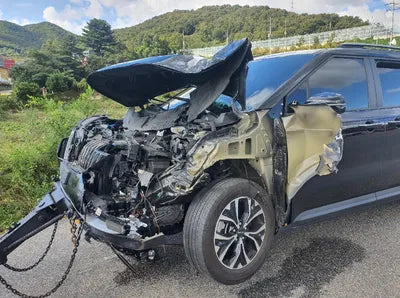 2022 Kia Carnival KNANB81BBNS131772 VIN:KNANB81BBNS131772