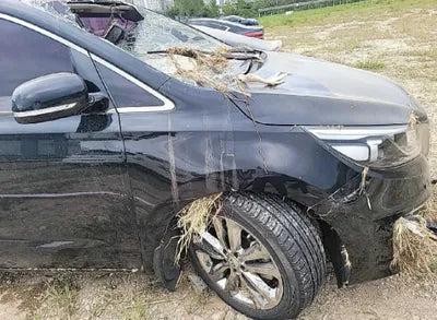 2017 Kia Carnival KNAMC81ABHS281610 VIN:KNAMC81ABHS281610