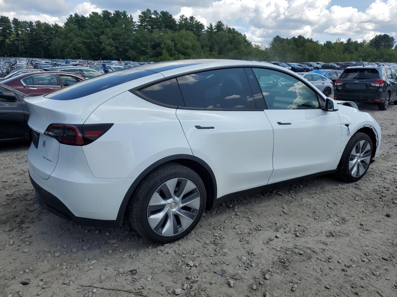 2023 TESLA MODEL Y  VIN:7SAYGDEEXPA117381