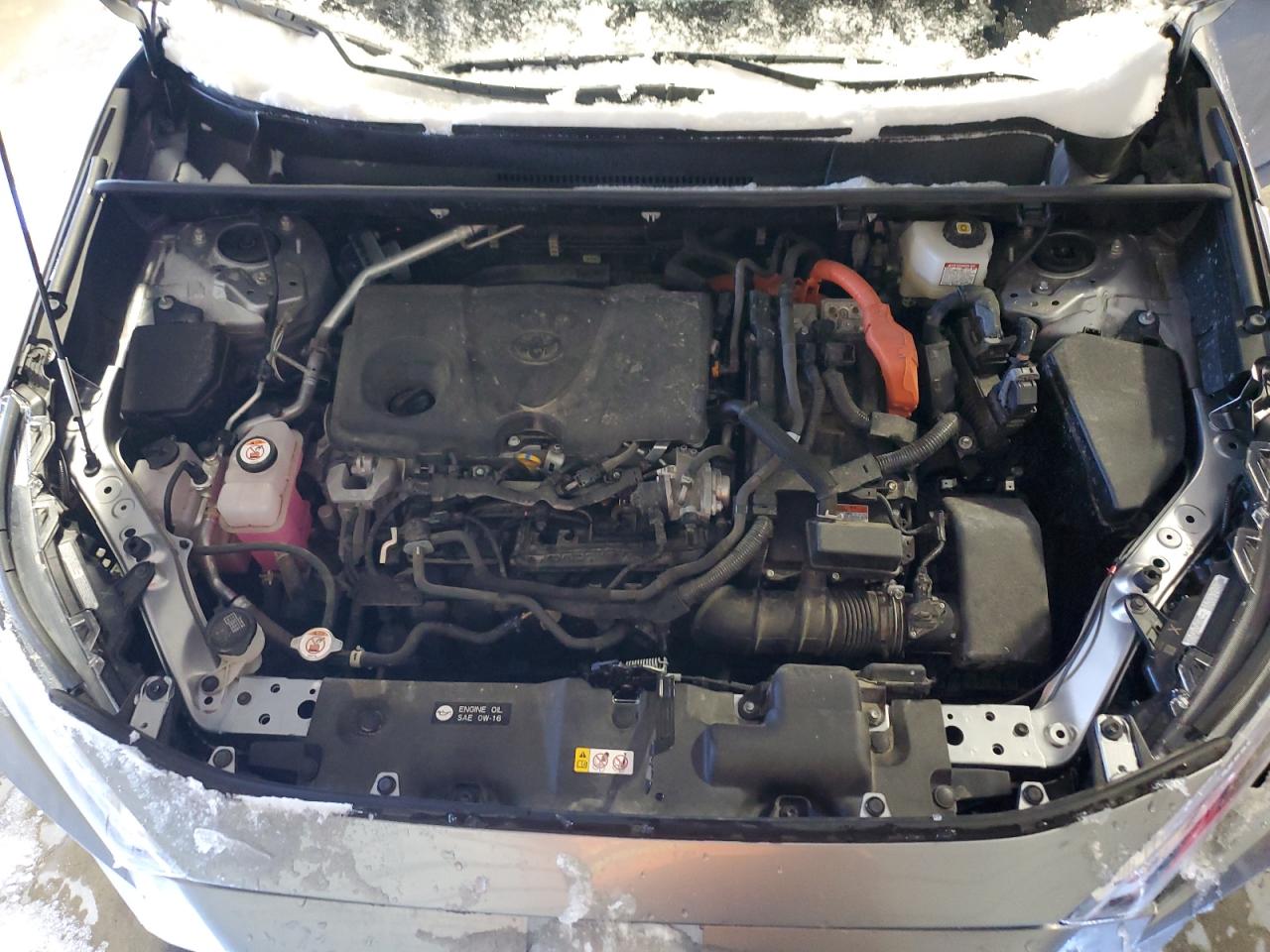 2023 TOYOTA RAV4 LE VIN:JTMMWRFV1PD184987