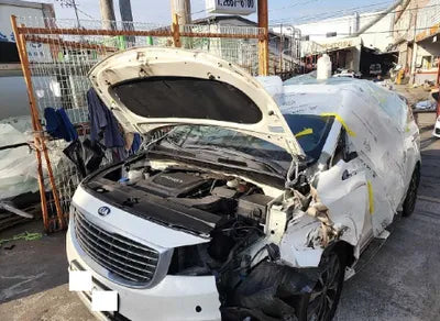 2017 Kia Carnival KNAMB81ABHS263732 VIN:KNAMB81ABHS263732