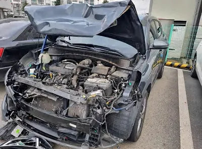 2019 Hyundai Tucson KMHJ3812GKU992407 VIN:KMHJ3812GKU992407