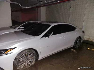 2019 Lexus ES 300 JTHB21B11K2015515 VIN:JTHB21B11K2015515